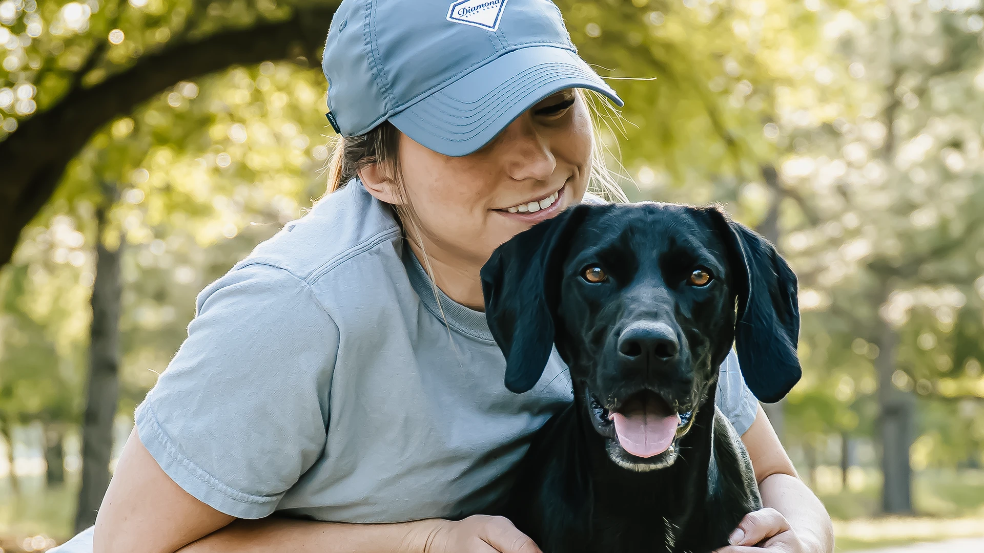 Diamond Obedience Development Course