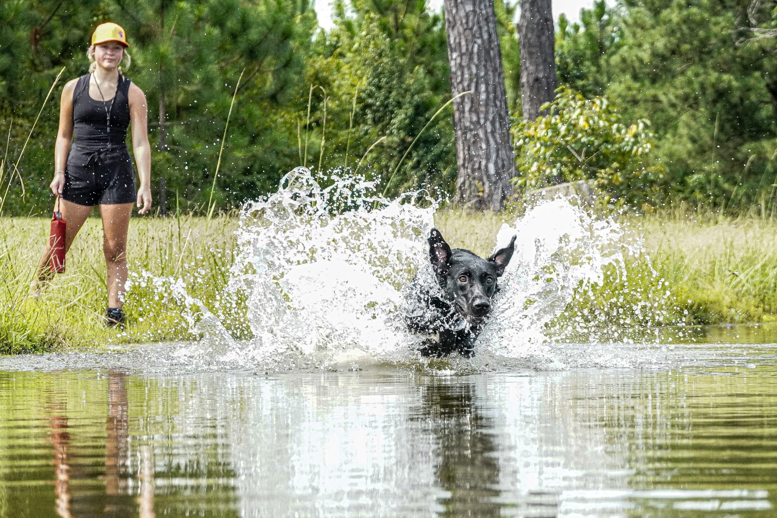 DSC01696 scaled Diamond Bird Dogs