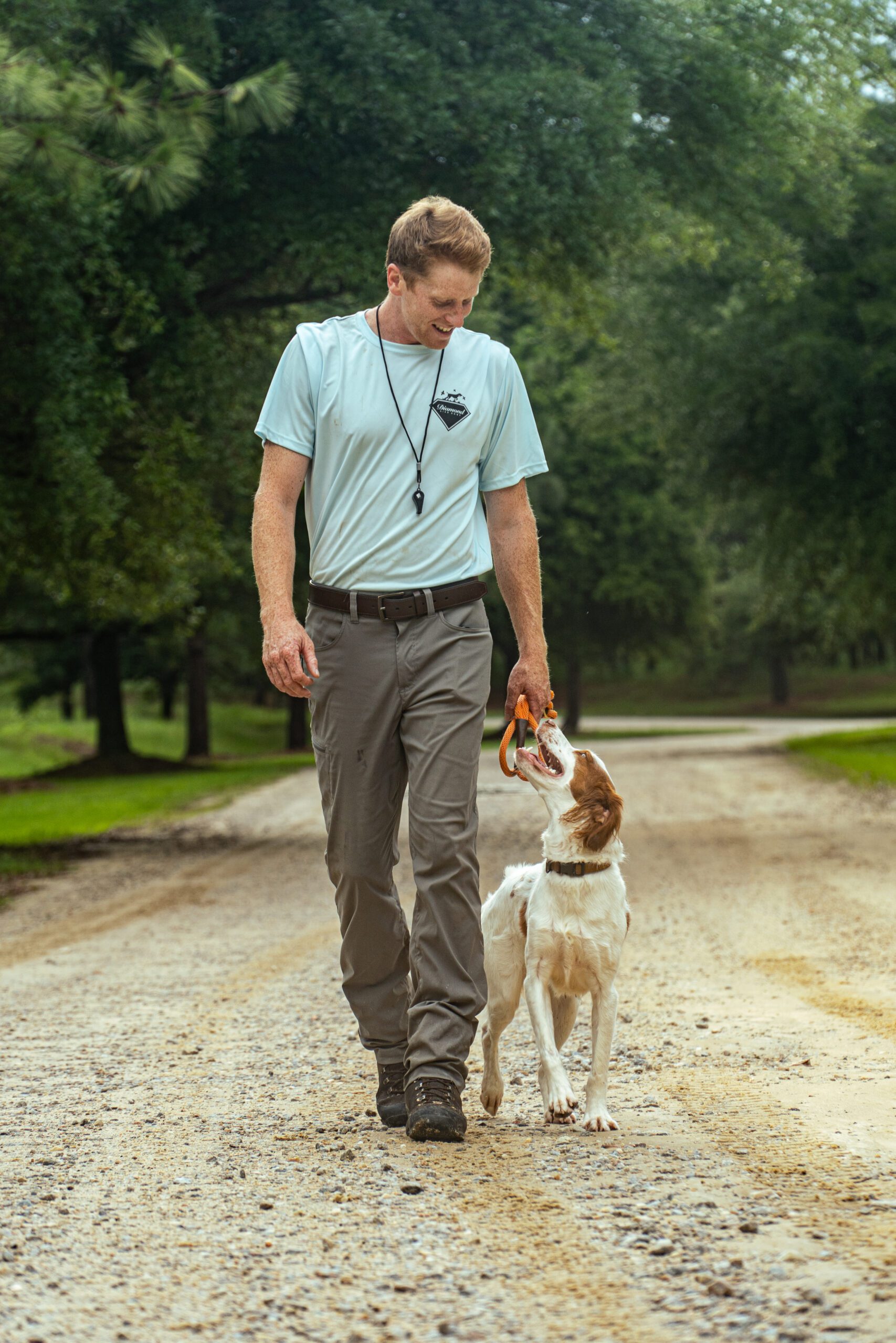 DSC02357 scaled Diamond Bird Dogs