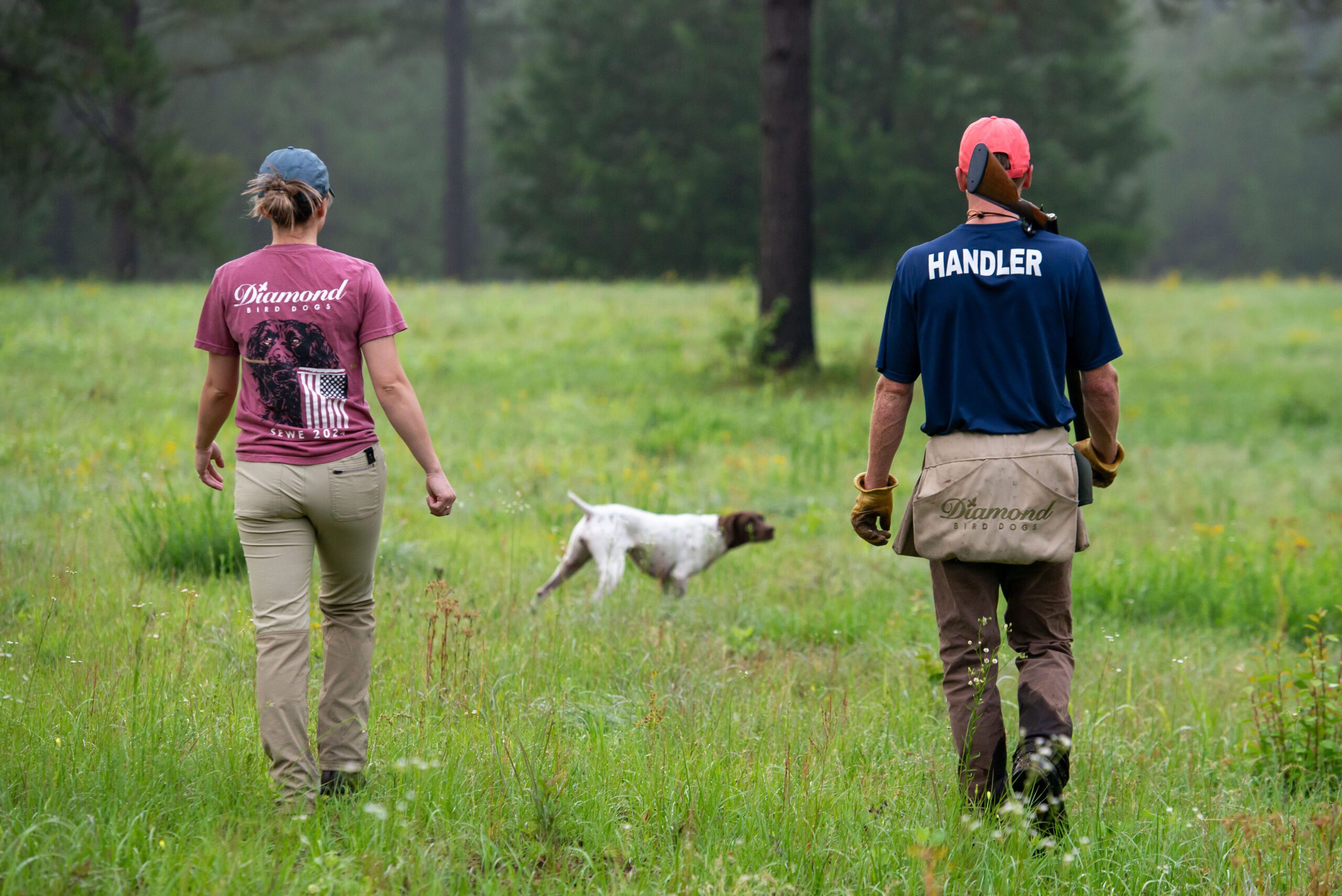 sporting dog trainer with white and black german shorthaired pointer puppy